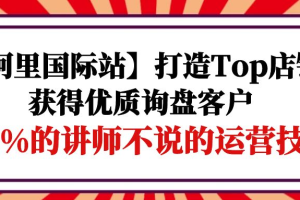 打造Top店铺-获得优质询盘客户，95%的讲师不说的运营技巧