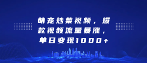萌宝炒菜视频，爆款短视频总流量疯涨，单日转现1k