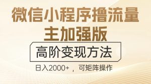 微信小程序撸流量主加强版，高阶变现方法，日收益多张