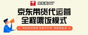 京东带货代运营：全程喂饭模式，告别年终焦虑，持续现金流！