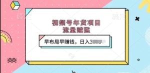 视频号年货项目：流量超猛，早布局早挣钱，日入上 k 不是空话
