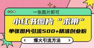 小红书图片 “求带” 引流神技：单张图片狂揽 500 + 精准创业粉