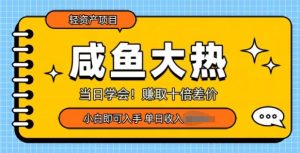 闲鱼大热轻资产宝藏项目：当日即学即会，小白上手赚取十倍差价