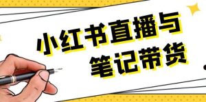 小红书直播与手记卖货：选款、发布、手记创作、视频编辑及直播带货话术等！