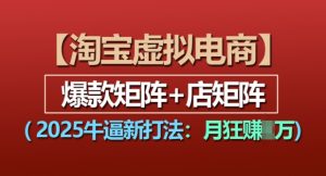 淘宝虚拟电商：2025新打法，爆款矩阵+店矩阵，月入过万！