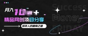 月入十万网创项目揭秘：成年人逆袭密码，快速翻身，财富自由不是梦