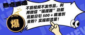 不剪视频不发作品，视频号私信日引 500 + 精准创业粉？实操即流量！