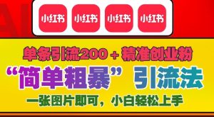 12 月底小红书 “简单粗暴” 引流法：单条精准引流 200 + 创业粉大揭秘
