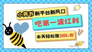 小黄书新蓝海风暴来袭：渠道宽松机遇无限，半天疯涨 3000 粉，首波红利等你来尝