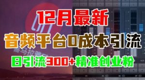 12 月小红书音频平台 0 成本引流术：日引 300 + 精准创业粉实战