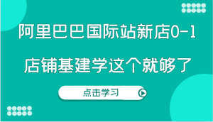 阿里巴巴国际站新店 0 – 1 个人实操录制：基建全流程，一学就会