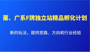 莆广系F牌独立站孵化计划：全新玩法，提供思路和行业经验！