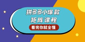 拼多多爆款矩阵课程：教你测出店铺爆款，优化销量，提升GMV，打造爆款群！