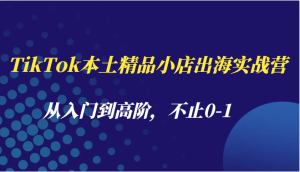 TikTok本土精品小店出海：从入门到高阶实战营