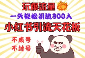 小红书引流吊顶天花板，玩爆总流量，一天轻轻松松引流方法300人，安全操作规程