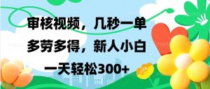 审核视频项目：几秒一单，多劳多得，新人小白一天轻松300+