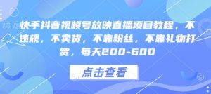 快手抖音视频号放映直播项目：不违规，不卖货，日入200-600，轻松操作