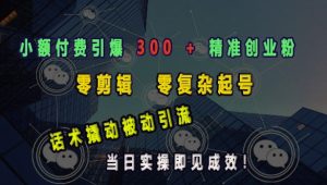 小额付费引爆 300 + 精准创业粉，零剪辑、零复杂起号，话术撬动被动引流，当日实操即见成效