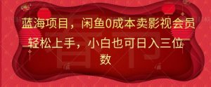 最新蓝海项目0成本卖影视会员，小白也可日入三位数