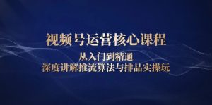 视频号运营核心课程：从入门到精通，深度讲解推流算法与排品实操