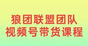 视频号带货2024：0基础小白快速入局，视频号带货新机遇