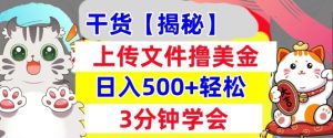 上传文件撸美金项目：0门槛，3分钟学会，日入几张，被动收入