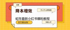蛇年全新小红书的涨粉实例教程，狂引第二职业粉，月入万 必读