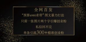 小红书的神奇图片引流法，仅需一张图，就可一条手记凭着这种方法，轻轻松松引流方法 300 精确自主创业粉