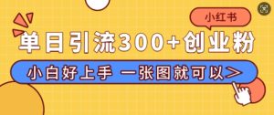 小红书单日引流300+创业粉，“简单粗暴”引流法，小白好上手，私信回不完