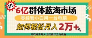 6亿群体蓝海市场：零经验小白，轻松月入过万