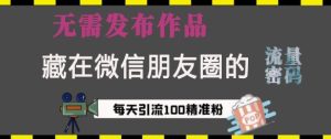 微信朋友圈流量密码：不发作品日引流100+，精准创业粉