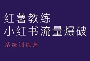 小红书内容运营终极课：红薯教练带你成为小红书运营高手