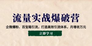 总流量实战演练工程爆破营：企业微信涨粉、宝盒引流方法，打造高效引流方法管理体系，月创收万余元