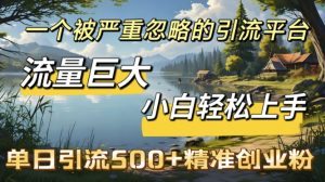 QQ引流方法自主创业粉，总流量极大，新手快速上手，单日引流方法500