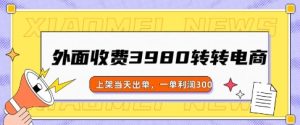 外边收费标准3980的走走电商玩法，发布当日开单，一单利润3张