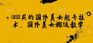 1288买来的国外美女养号技术性，国外美女运送课堂教学