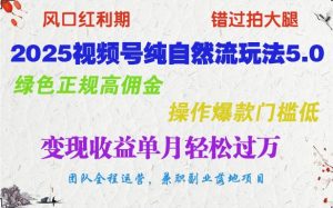 2025微信视频号纯自然流游戏玩法5.0，翠绿色靠谱高佣金，实际操作爆品成本低，转现盈利单月轻松突破万