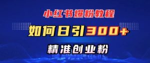 小红书的涨粉实例教程，怎样日引300 自主创业粉，迅速进行精准转现