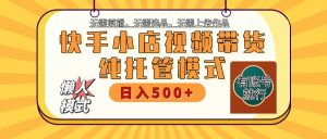 快手小店代运营公司躺着赚钱新项目 二八分为 持续稳定 最低月入3k