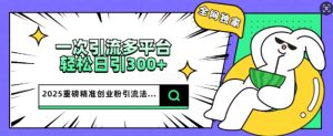 2025重磅消息各大网站独家代理引流法，一次全平台，轻轻松松日引300 精确自主创业粉
