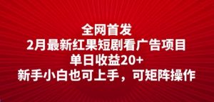 独家首发，2月全新红果短剧剧本看广告项目，单日盈利20 ，新手入门也可以入门，可引流矩阵实际操作