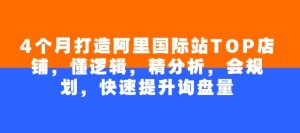 4个月打造出阿里巴巴国际TOP店面，懂逻辑性，精剖析，会整体规划，快速升级外贸询盘量