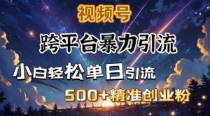 混合开发暴力行为引流方法，公域极致闭环控制，日引500 精确自主创业粉