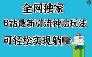 各大网站独家代理，B站全新引流方法神贴游戏玩法，可真正实现躺Z