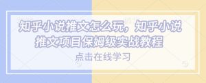 知乎小说推文怎么玩，知乎小说推文项目保姆级实战教程