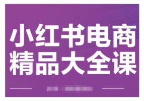 小红书电商精典全集课，快速上手小红书运营方法，完成精准引流方法与打造爆款总体目标，快速上手小红书电商