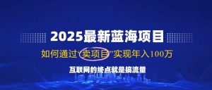 2025全新蓝海项目，零门槛轻轻松松拷贝，月入10万 ，初学者也可以实际操作！