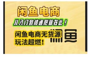 闲鱼平台电子商务实战演练课，实用教程秘笈在这里，闲鱼平台电商无货源游戏玩法最燃!