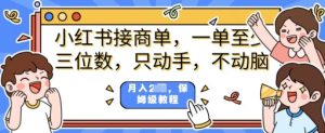 小红书的商单新项目，只出手不动脑，一单三位数，家庭保姆级实例教程