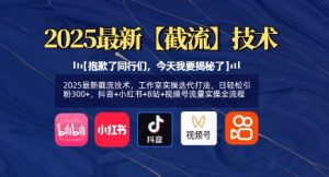 2025全新截留技术性，个人工作室实际操作迭代更新玩法，日轻轻松松引粉300 ，抖音视频 小红书的 B站 微信视频号总流量实际操作全过程